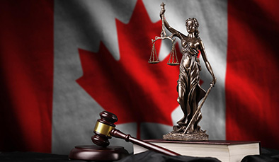 Legal case 394x229 1
