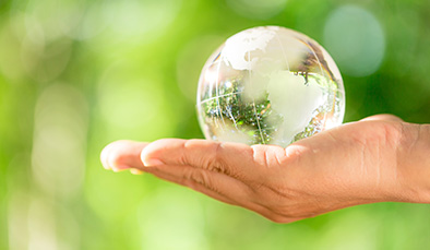 sustainability post image